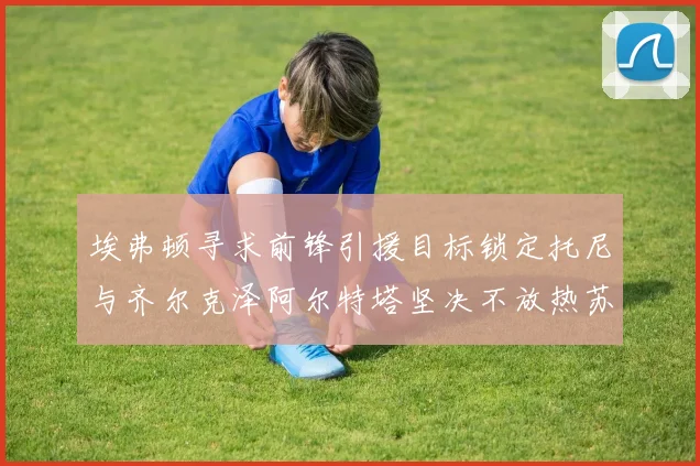 埃弗顿寻求前锋引援目标锁定托尼与齐尔克泽阿尔特塔坚决不放热苏斯