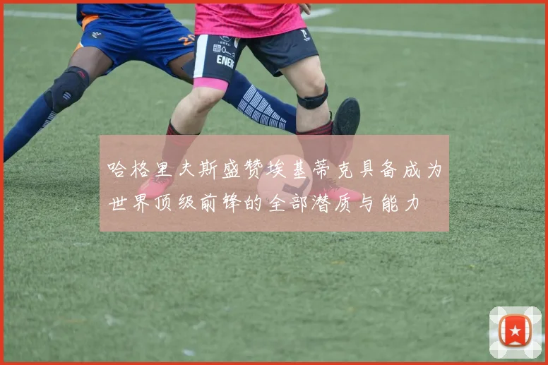 哈格里夫斯盛赞埃基蒂克具备成为世界顶级前锋的全部潜质与能力