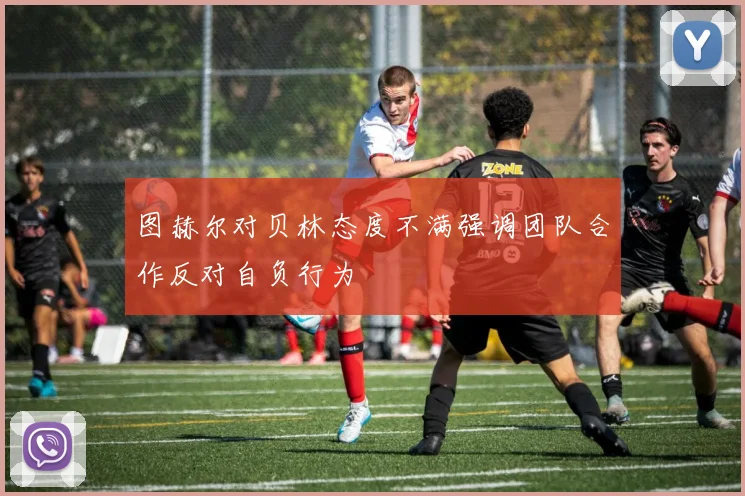 图赫尔对贝林态度不满强调团队合作反对自负行为