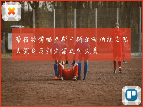 蒂格称赞福克斯卡斯尔哈珀组合完美契合马刺无需进行交易