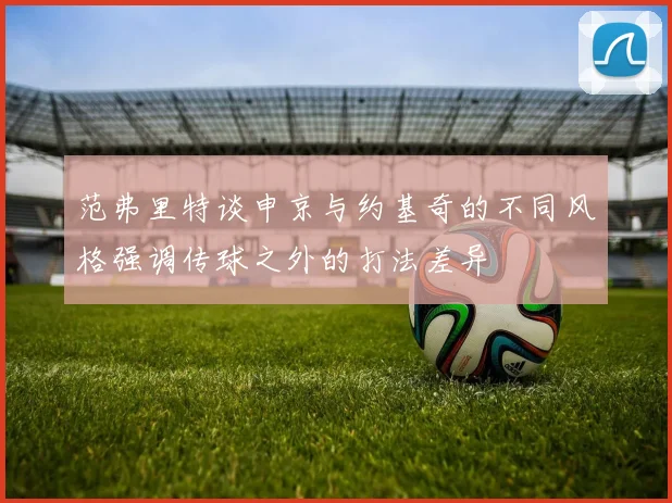 范弗里特谈申京与约基奇的不同风格强调传球之外的打法差异